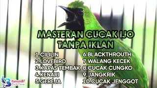 Download lagu Masteran cucak ijo tanpa iklan #masterancucakhijau mp3 Download lagu Masteran cucak ijo tanpa iklan #masterancucakhijau mp3