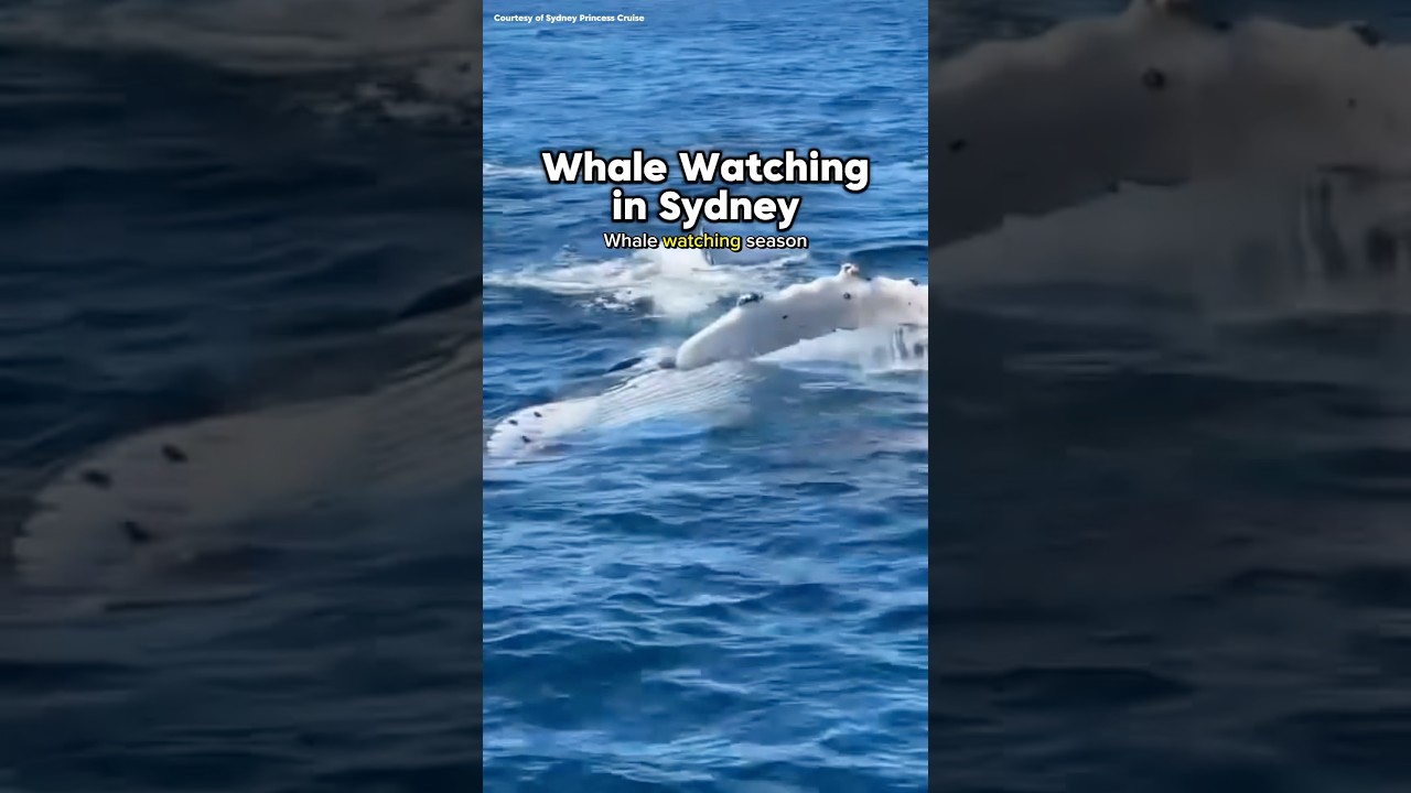 YouTube Short thumbnail