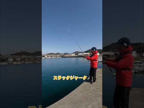 カリスタ・キオネ