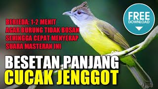 Download lagu MASTERAN MURAI BATU 🔴 suara burung CUCAK JENGGOT berjeda 1-2 menit mp3 Download lagu MASTERAN MURAI BATU 🔴 suara burung CUCAK JENGGOT berjeda 1-2 menit mp3