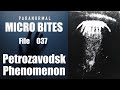 Paranormal Micro Bites: File 037 - Petrozavodsk Phenomenon