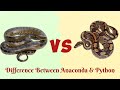 Anaconda Vs Python...Who is more Powerful?