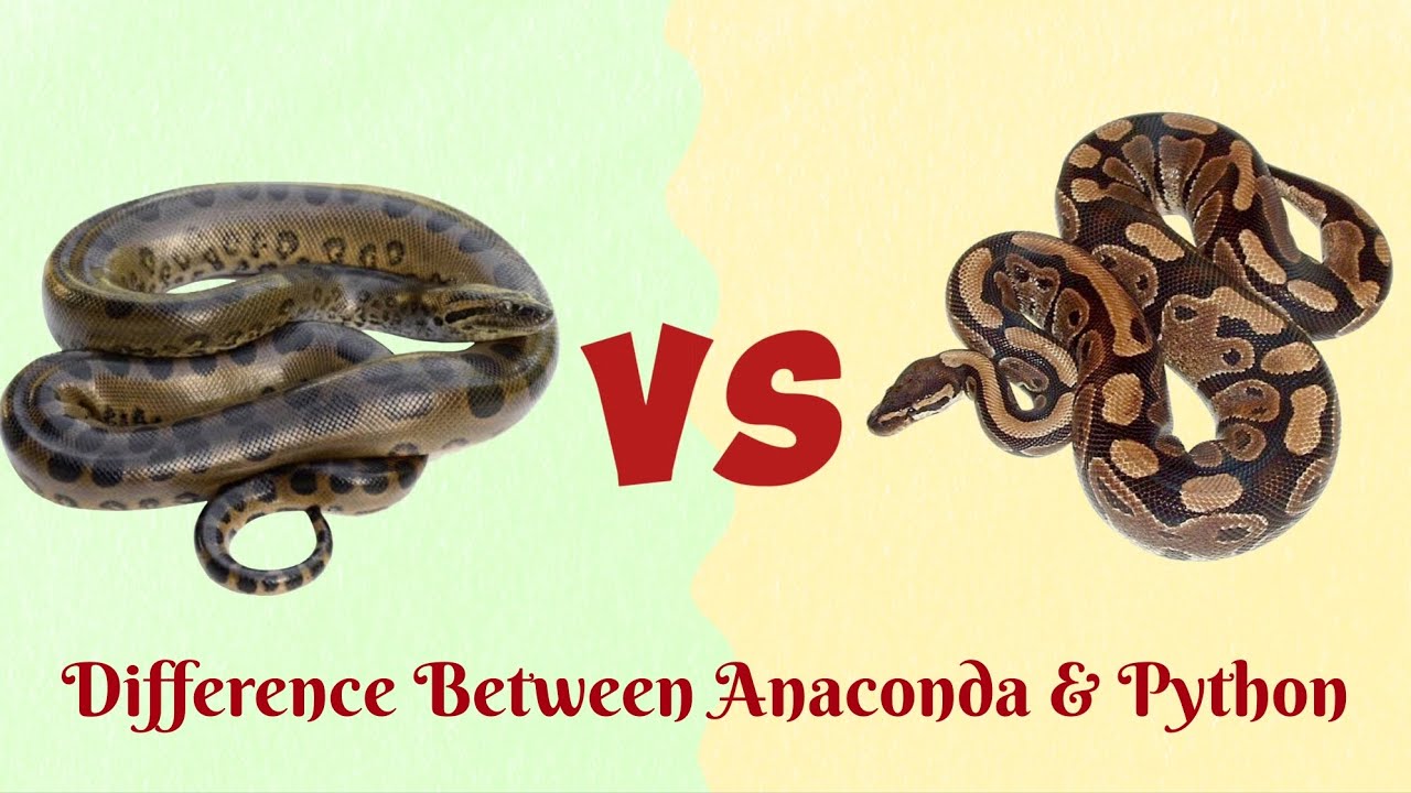 Anaconda Vs Python...Who is more Powerful?