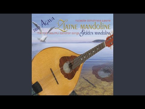 Akvarel mix: kontrado, kontrado, marice dušo, marice srce, perina