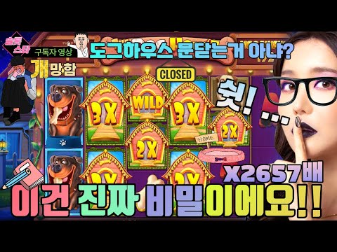 도그하우스 메가웨이즈