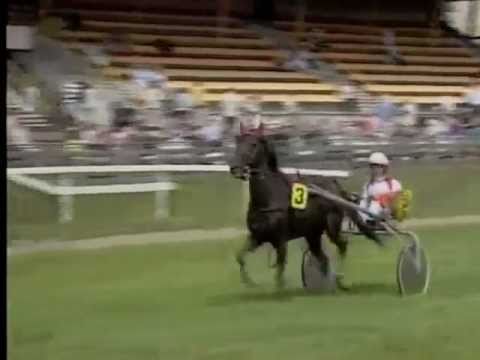 Avenir C & Dennis Minnema winnen Epsom-prijs - Duindigt 10 juli 2011