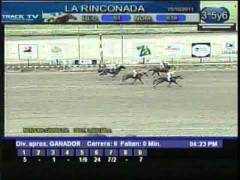 Resumen Sabado, 15 de Octubre de 2011 - La Rinconada