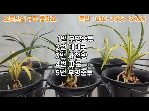 유튜브 썸네일