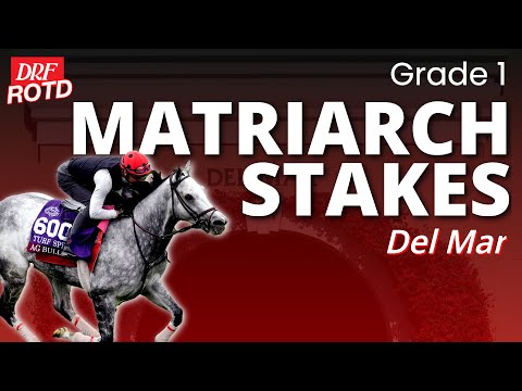DRF Sunday ROTD | G1 Matriarch at Del Mar | November 30, 2025