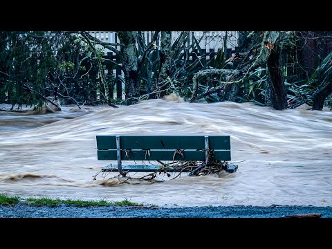 Überschwemmungen in Neuseeland sorgen für Zerstörung