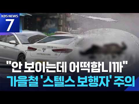 길에 누워있다가 그만…‘스텔스 보행자’ 사고 가을철 집중 / KBS 2026.09.02.