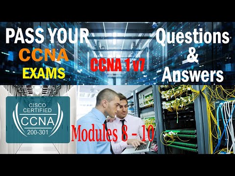 CCNA 1 v7 Modules 8 – 10 Communicating Between Networks Exam Answers