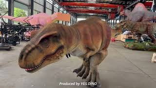 Wearable Tyrannosaurus costume walking in a park