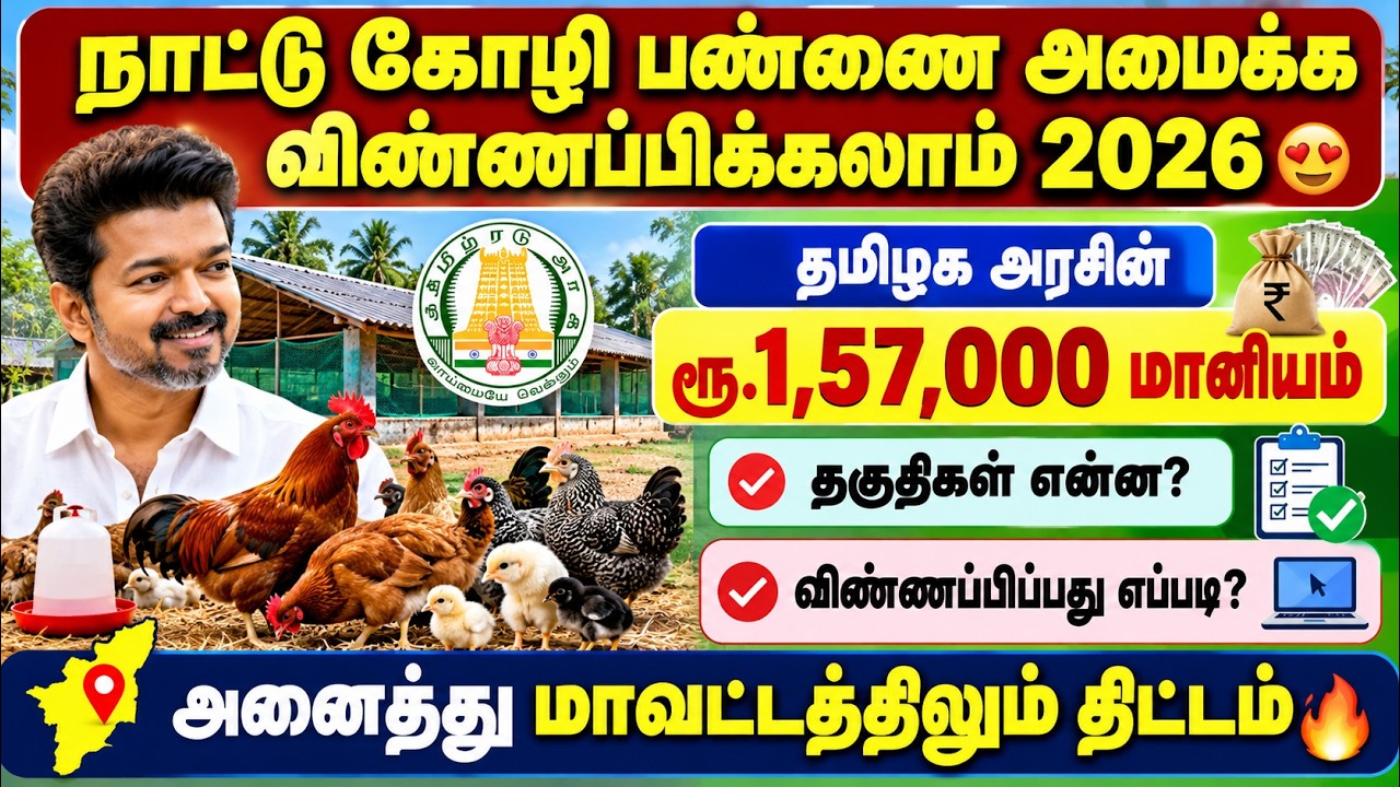 🐣நாட்டு கோழிப் பண்ணை திட்டம் 2026|  nattu kozhi pannai business plan in tamil | naattu ko