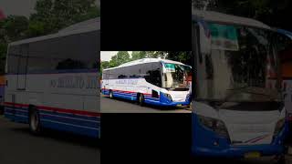 Download lagu PO Bus MULYO INDAH,, Sang Legenda yg sempat mundur, akhirnya kembali layani AKAP... mp3 Download lagu PO Bus MULYO INDAH,, Sang Legenda yg sempat mundur, akhirnya kembali layani AKAP... mp3