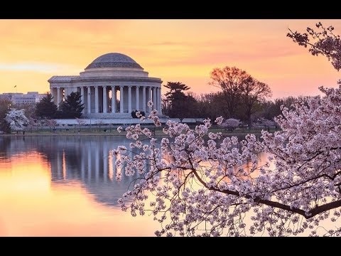 Discover the Real DC | Tour America
