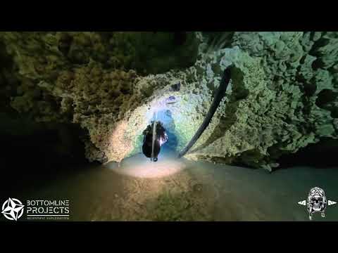 Video thumbnail: Wes Skiles Peacock Springs State Park 3D Mapping Initiative