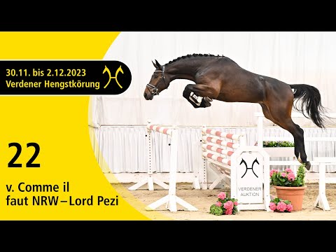 Verden Stallion Licensing 2023 - Jumping - Dec. 1/2- No. 22 Stallion by Comme il faut - Lord Pezi