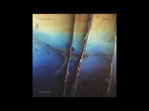 Third Son - Cognitive Dissonance [Polymath]