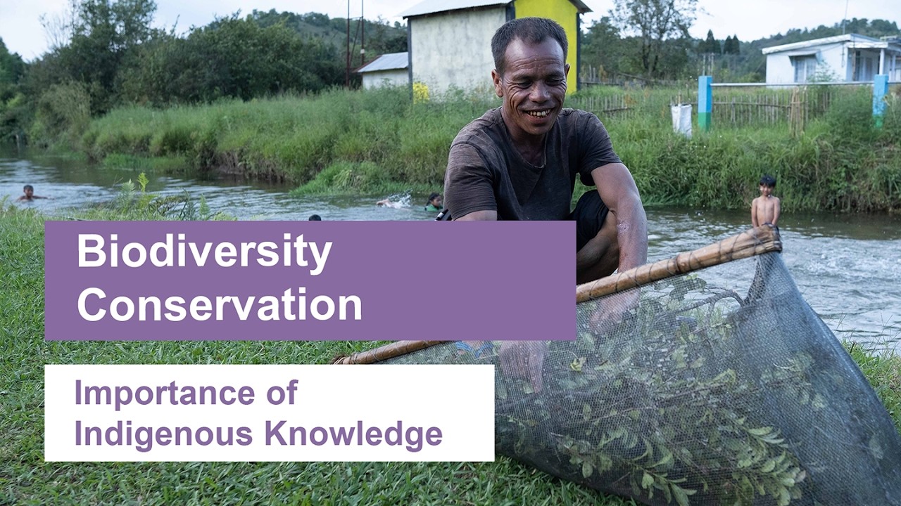 How Indigenous Knowledge Protects Aquatic Ecosystems