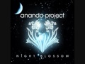 The Ananda Project - Stalk You