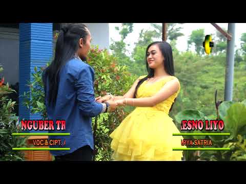 Arya Satria - Nguber Tresno Liyo | Dangdut (Official Music Video)