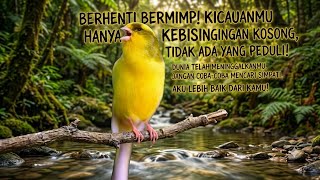 Download lagu Masteran kenari isian super mewah  mp3