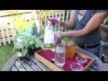 Natural Insecticides For A Vegetable Garden Vegetable Gardening