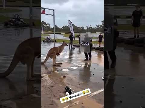 não é para você rir era só para você ver 😄👮@