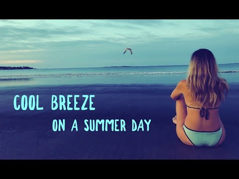 Pauli - Cool Breeze