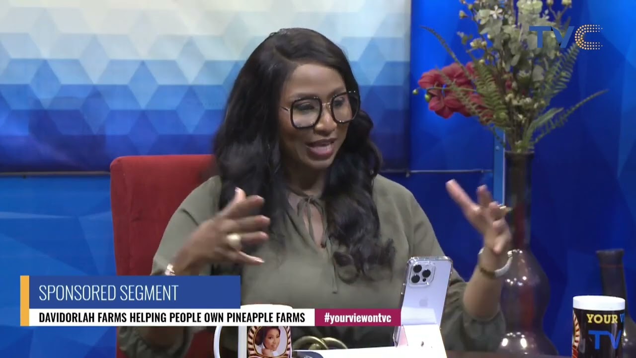 CEO Davidorlah And Yourview Ladies Speak On Helping People Own Pineapple Farm Lands VIDEO