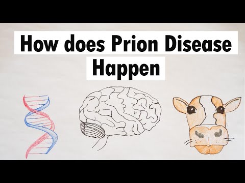 Prion Disease | How does Prion Disease Happen