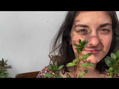 Crossing to Safety Trailer