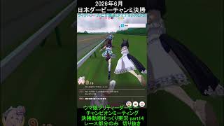 またまた2着！　日本ダービーチャンミpart14　ヴィクトワールピサ視点　(ダイナミックカメラ)視点　【レースシーン切り抜き】