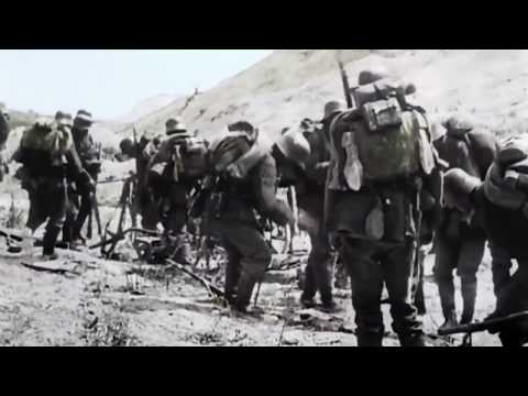 Fields of Verdun - Sabaton - (1916) Historical Music Video