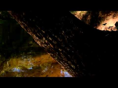 drew the architect - støv w/ cat soup & hnrk [clean edit]