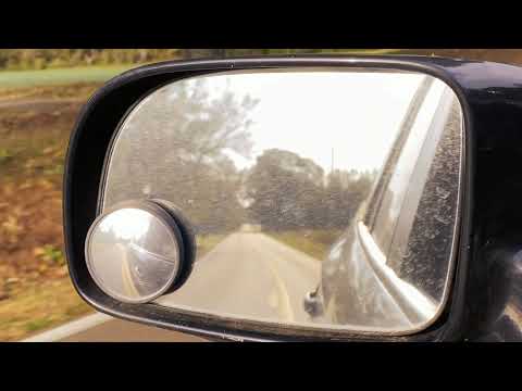 Forest Drive - Time of Light