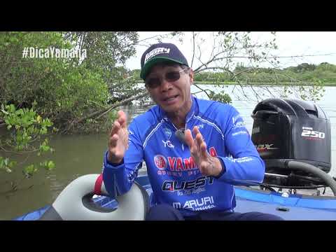 Dica Yamaha com Nelson Nakamura - Influência da ação da vara de pesca