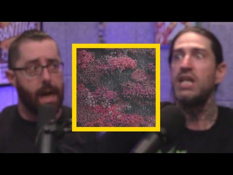 THE CYCLE DOESN'T STOP?! | EVEN IN ARCADIA | PART 2