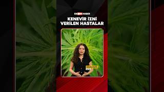 Tıbbi kenevir artık Türkiye'de yasal #shorts