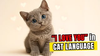 Download lagu How to Say I Love You in Cat Language? mp3 Download lagu How to Say I Love You in Cat Language? mp3
