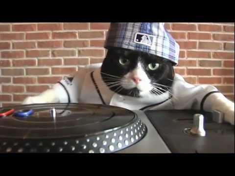 DJ Kitty performs deadmau5's \Subliminal\