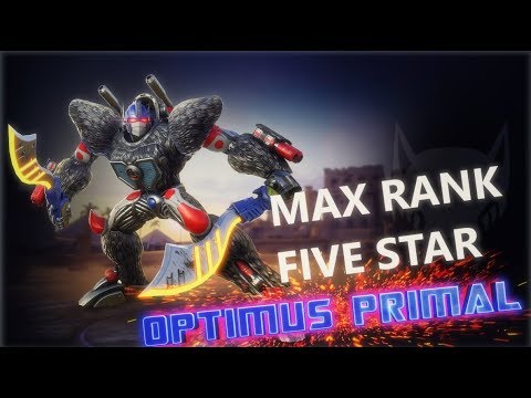 Transformers: FTF - Optimus Primal Rank Up to R5