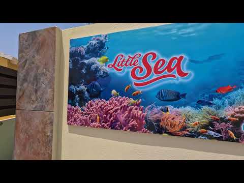 Book Your Stay Now At Little Sea Aruba