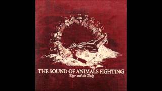 The Sound of Animals Fighting   Act 3 Modulate Back to To The Tonic