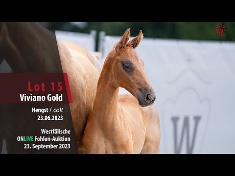 ONLIVE Fohlen-Auktion Lot 15 Viviano Gold Hengst v. Va Bene - Fürst Magic