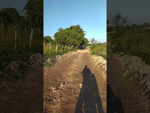 sítio pizaduro lagoa salgada RN