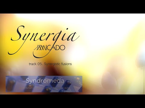 05.  Synergistic fusions (featuring Syndromeda)(Official Music Video)