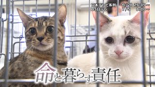 NNNドキュメント　2026/6/28「命と暮らす責任」