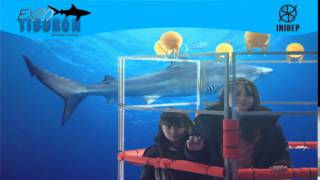 DIA 2 Expo Tiburon73